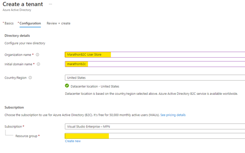 Provide the organization name, domain name, and resource group