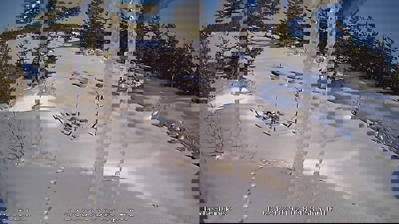 A shot of the docks area showing the snow and tracks of an unknown animal